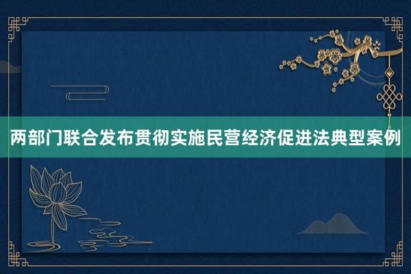 两部门联合发布贯彻实施民营经济促进法典型案例