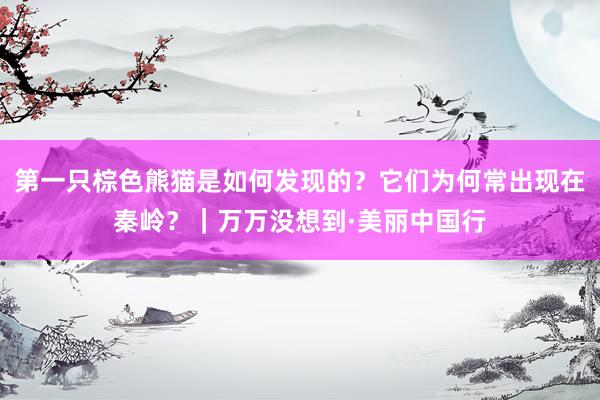 第一只棕色熊猫是如何发现的？它们为何常出现在秦岭？｜万万没想到·美丽中国行