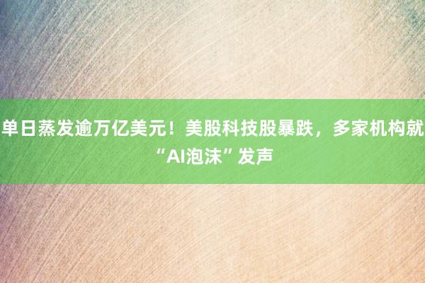 单日蒸发逾万亿美元！美股科技股暴跌，多家机构就“AI泡沫”发声