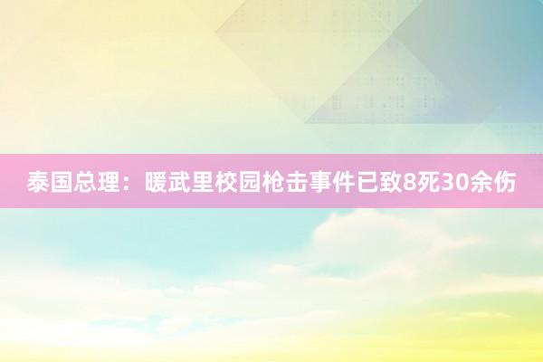 泰国总理：暖武里校园枪击事件已致8死30余伤