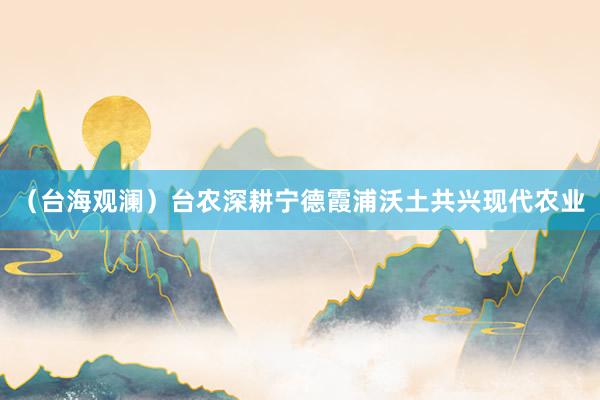 （台海观澜）台农深耕宁德霞浦沃土共兴现代农业