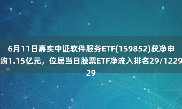 6月11日嘉实中证软件服务ETF(159852)获净申购1.15亿元，位居当日股票ETF净流入排名29/1229