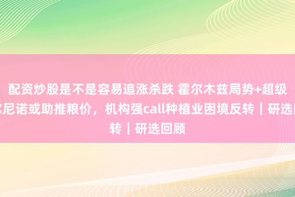 配资炒股是不是容易追涨杀跌 霍尔木兹局势+超级厄尔尼诺或助推粮价，机构强call种植业困境反转｜研选回顾