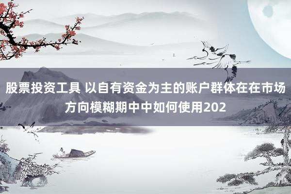 股票投资工具 以自有资金为主的账户群体在在市场方向模糊期中中如何使用202