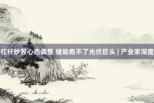 杠杆炒股心态调整 储能救不了光伏巨头 | 产业家深度
